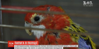 У столиці поліцейські взяли на роботу папугу