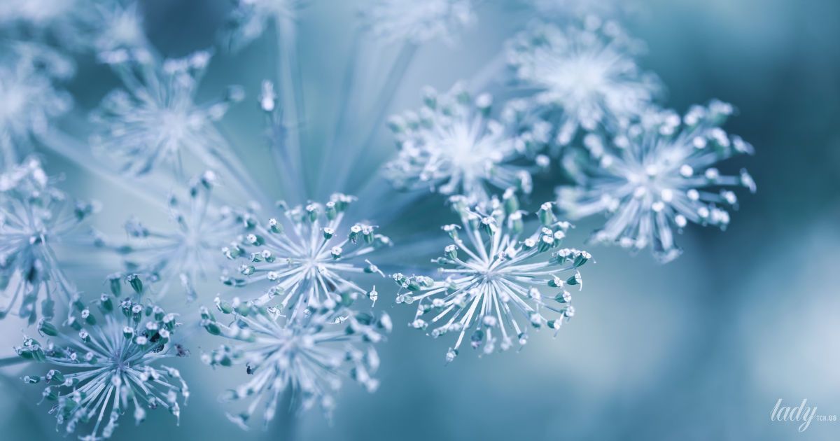 Гороскоп на 22 листопада