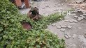 На Донбассе в результате обстрела погиб военнослужащий