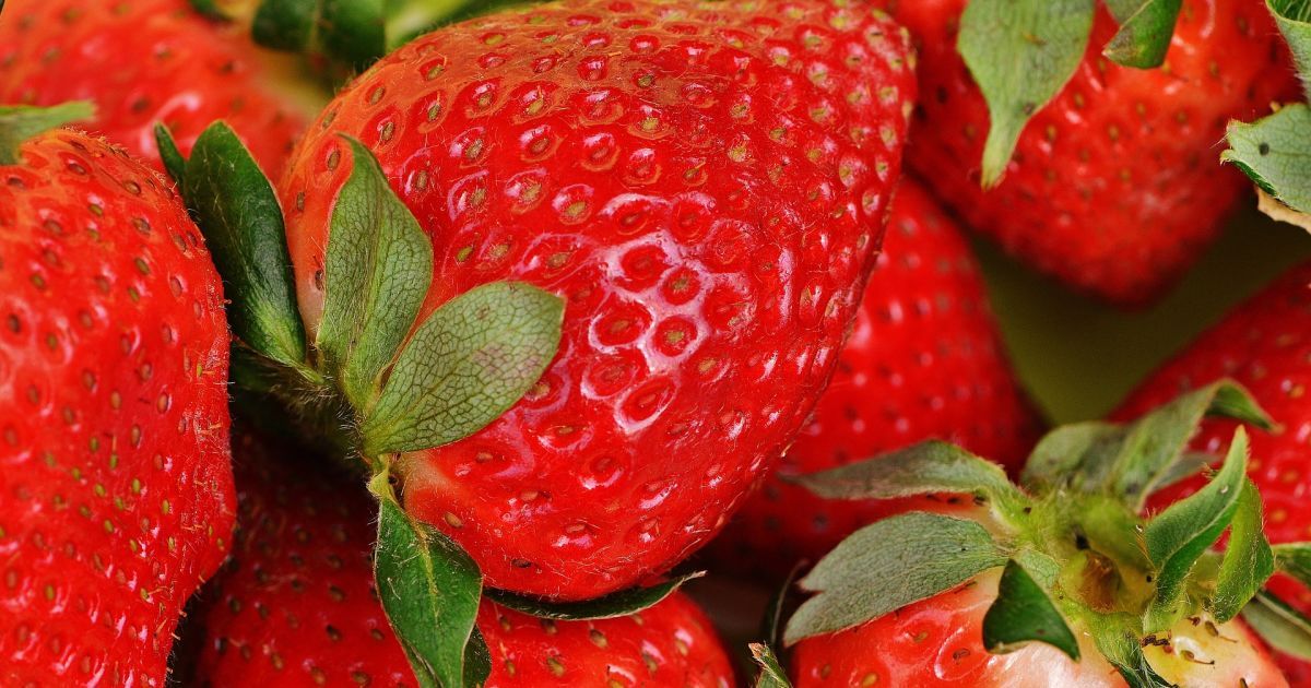 В Україні продовжує дешевшати полуниця: які ціни та якість у розпал сезону