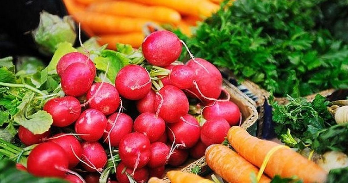 Що посадити в серпні