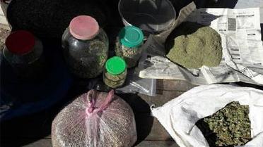 наркотики марихуана_5 / © ГУ Національної поліції у Запорізькій області