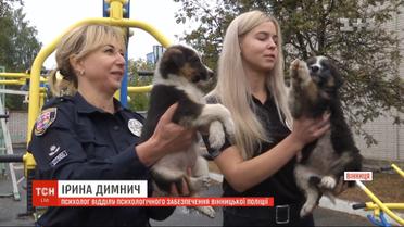 В Виннице полицейские ищут хозяев для двух месячных щенков