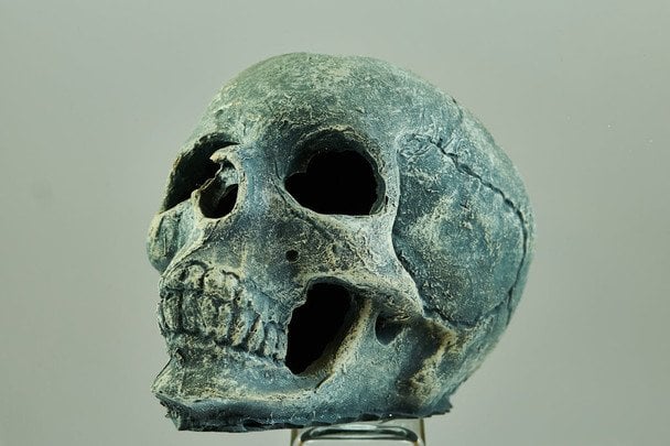 19 лютого святкують Всесвітній день антропології / © pexels.com