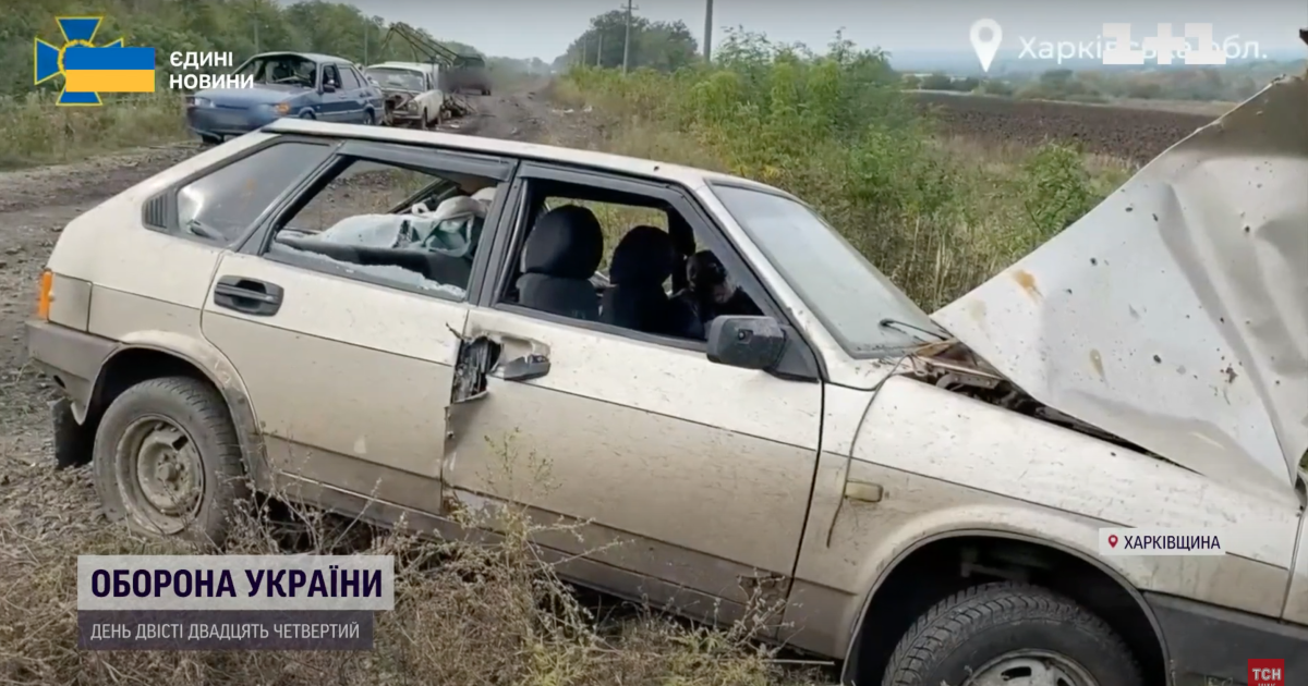 Скриншот с видео