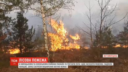 Масштабный лесной пожар тушили в Житомирской области