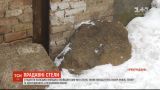 Студенты в Кировоградской области нашли скульптуры, которым более пять тысяч лет