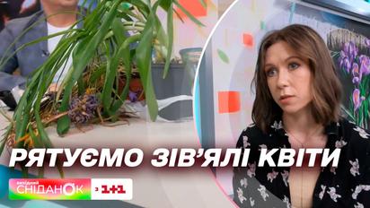 Не выбрасывайте увядшие цветы, пока не посмотреть это видео - советы по растениеводству от Елены Самойлюк