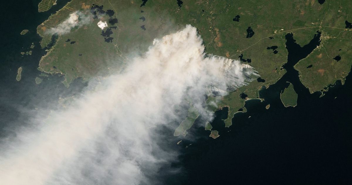 In Canada, the army was involved in extinguishing the largest forest