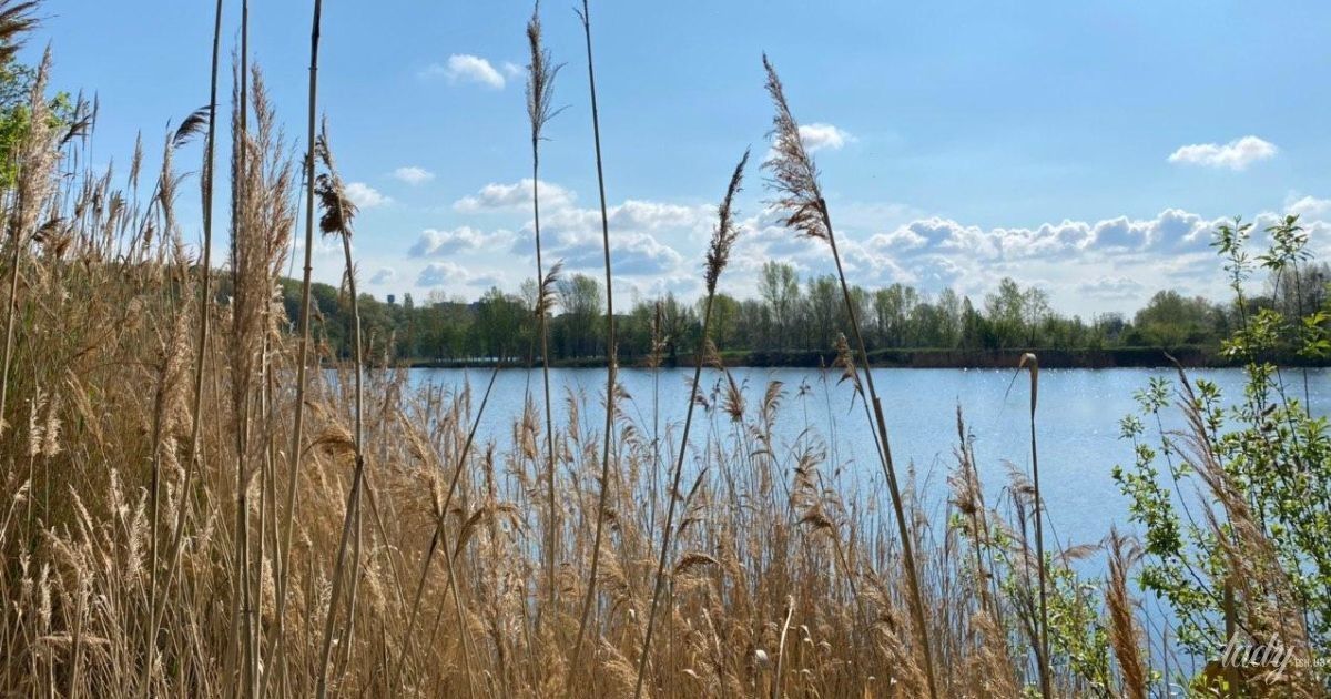 Гороскоп на 11 травня для всіх знаків зодіаку: день душевної гармонії
