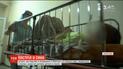 Отца, который попал из револьвера в сына, выпустили из отделения полиции