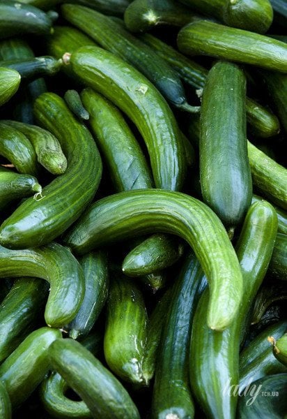 В РФ цены на огреки бьют рекорды