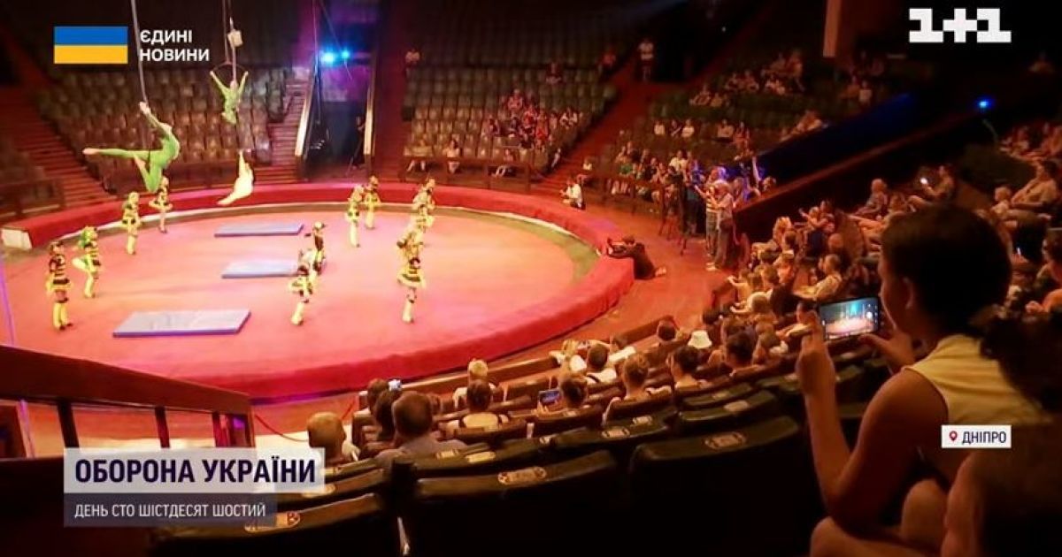 Цирк у Дніпрі прихистив колег із окупованих регіонів і тепер на манеж виходять тварини-біженці і поранені клоуни