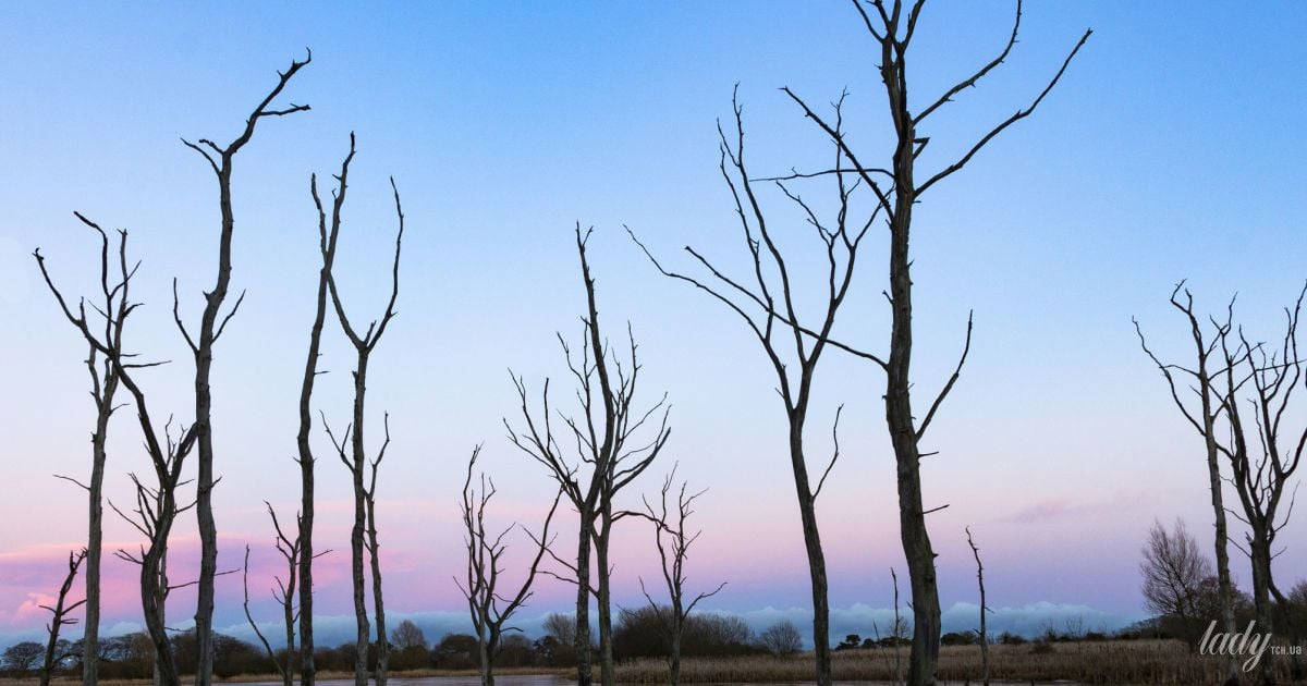 Гороскоп на 1 грудня