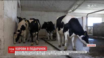 Людям, які повертаються до своїх домівок на Донбасі, почали роздавати худобу