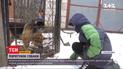 Волонтерам в Житомирской области пришлось спасать овчарку снотворным