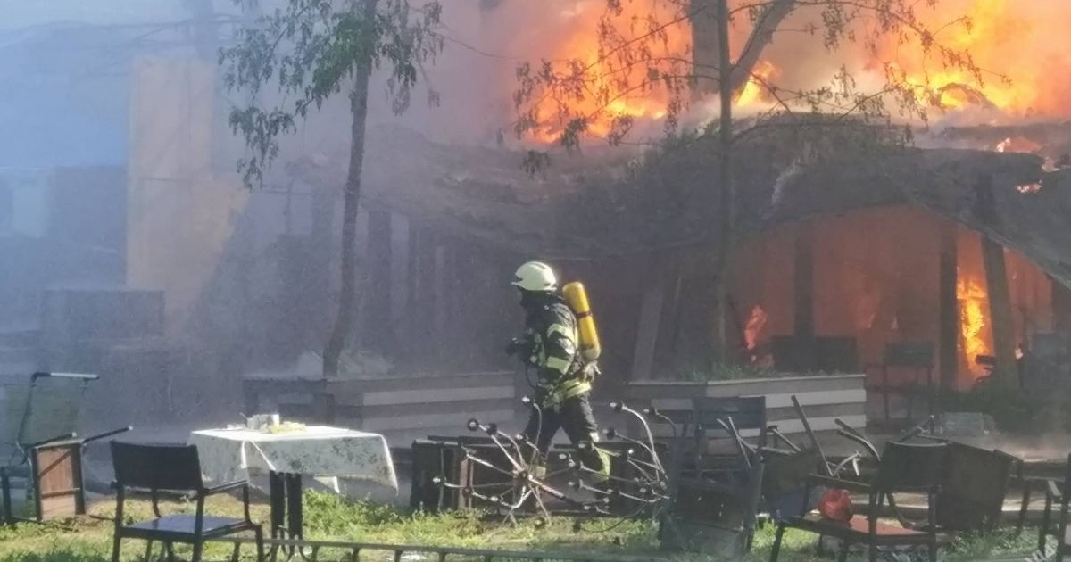 пожежа одеський парк_3 / © odessamedia.net