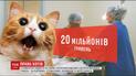 Волонтеры добиваются, чтобы бездомных кошек не замуровывали в киевских подвалах