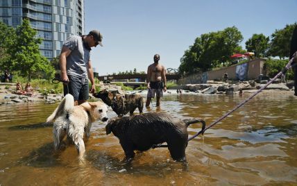 В США начал действовать запрет на ввоз собак из более 100 стран, в том числе и из Украины