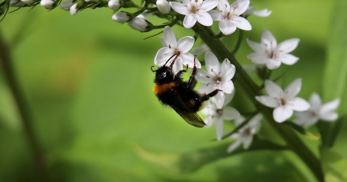 До України прийде похолодання та дощі: прогноз погоди на четвер, 25 липня