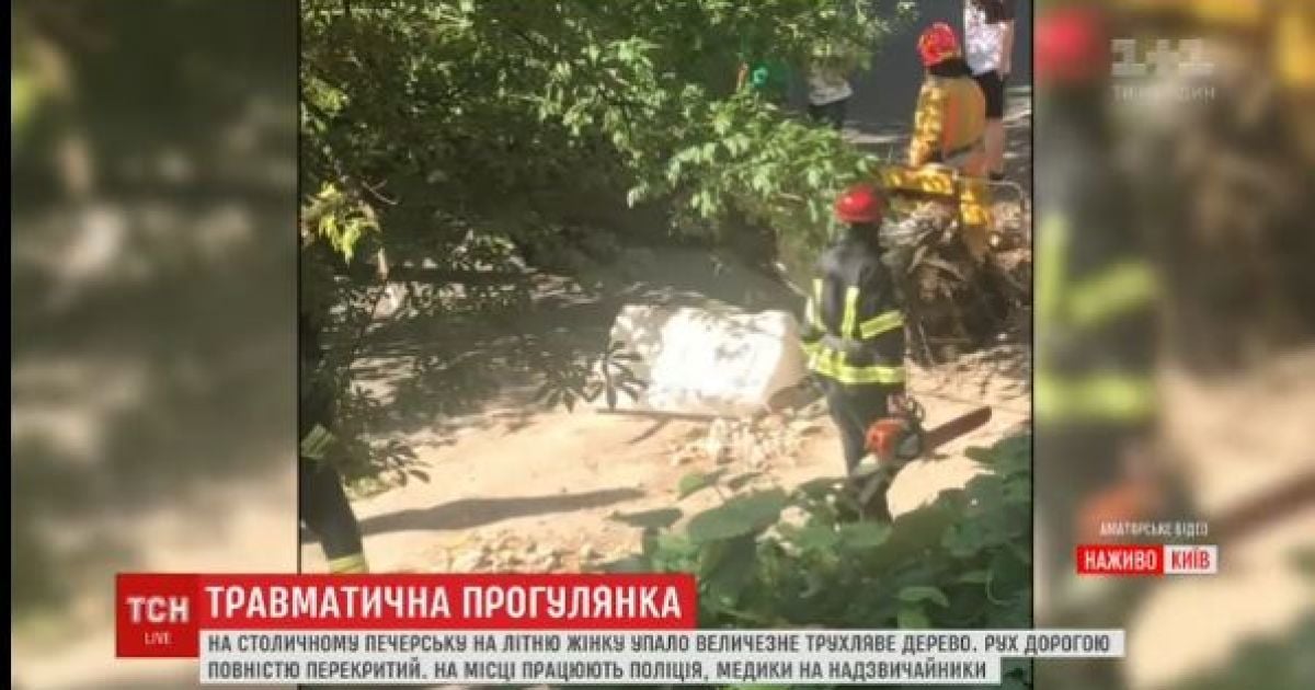В Киеве на женщину упало дерево: у пострадавшей поврежден позвоночник