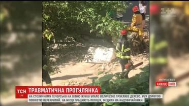 У Києві на жінку впало дерево: в постраждалої ушкоджений хребет