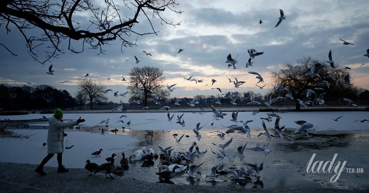 Як пташиний спів і прогулянка на природі знижують стрес і підвищують настрій