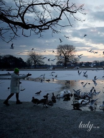 Як пташиний спів і прогулянка на природі знижують стрес і підвищують настрій