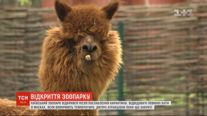 Оновлений зоопарк: як змінився київський звіринець за час карантину
