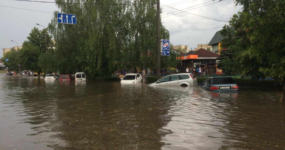 Вирвані ялинки та паралізований рух транспорту: у Луцьку вирує негода