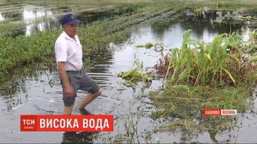 Рясні зливи затопили п’ять районів Волинської області