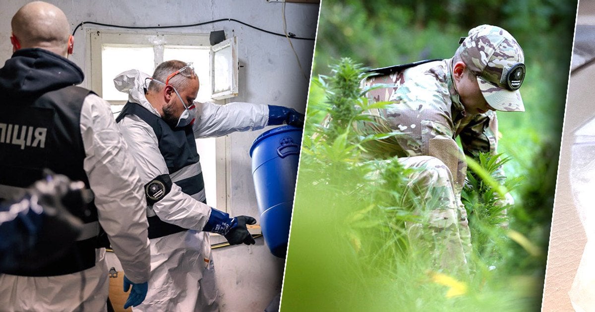 Изъятие наркотиков