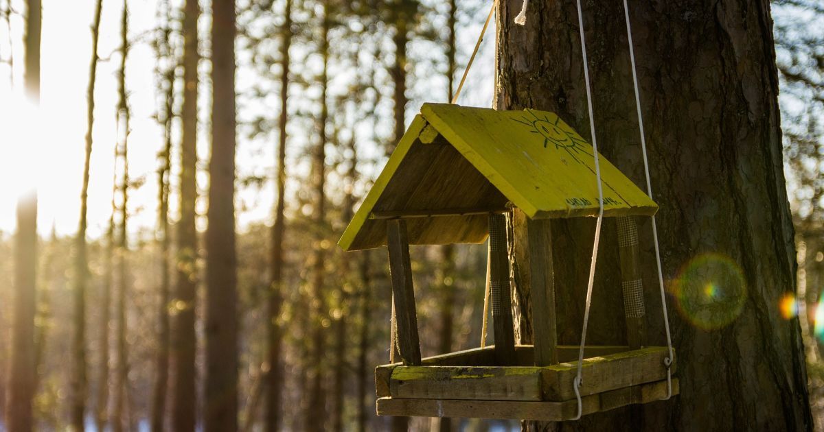 6 апреля в Украине будет до 25 градусов тепла, а ближе к выходным – дожди с грозами