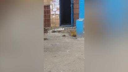 Донецьк атакують щури