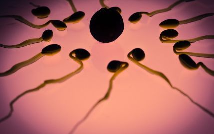 Людські сперматозоїди рухаються не так, як вважалося раніше - вчені