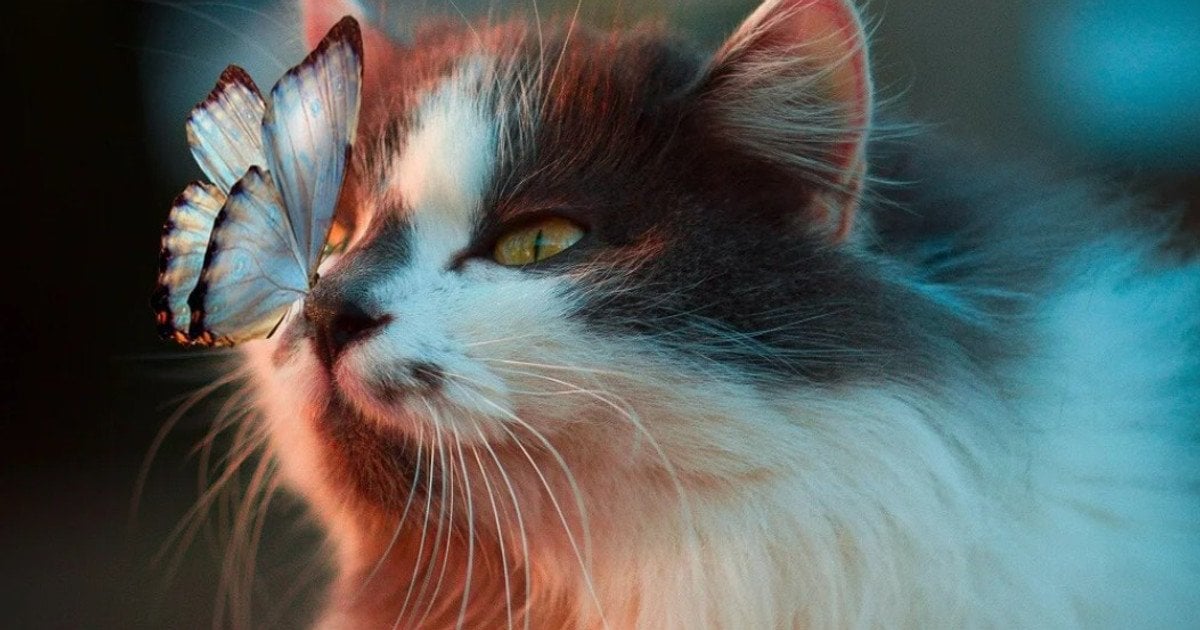 Як контролювати свої емоції