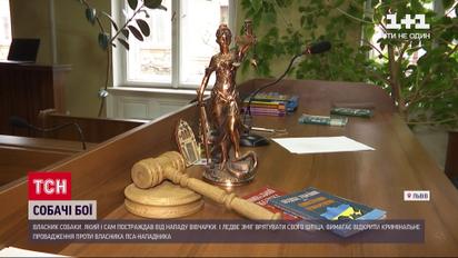 Львовянин, на которого напала овчарка, добивается наказания для владельца пса