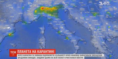 Планета на карантині: як пандемія коронавірусу вплинула на природу
