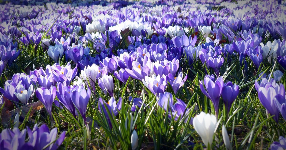 Украинцев ждет солнечная погода и незначительное потепление