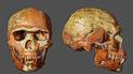 Череп homo sapiens / Фото: Cicero Moraes via Pen News