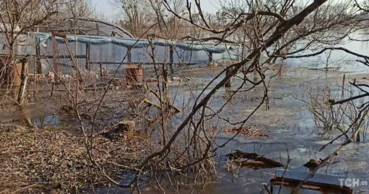 Не виключається, що ворог здійснить спробу форсування р. Ірпінь: яка ситуація на Київщині