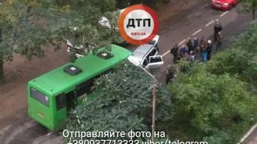 Смертельна ДТП: на Київщині легковик влетів у маршрутку / © facebook.com/dtp.kiev.ua