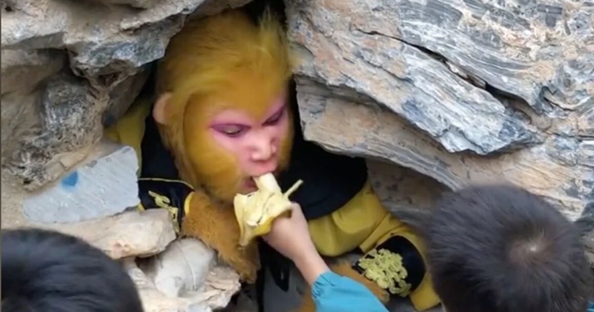 Король обезьян / Фото: Jinjinghouge/Douyin