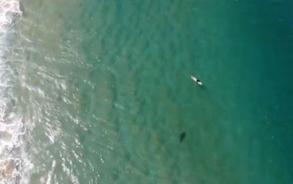 Австралієць врятував серфера від акули завдяки дрону