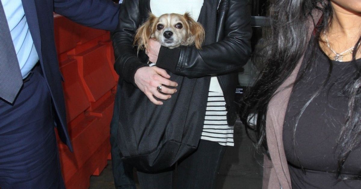 Энн Хэтэуэй