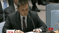 Россия может налагать вето на украинские инициативы в Совете безопасности ООН