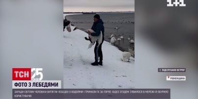 Біля водосховища Хмельницької АЕС чоловіки зробили селфі з лебедями