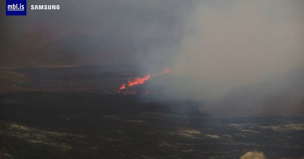 В Ісландії почалося виверження вулкана поблизу головного аеропорту країни: відео