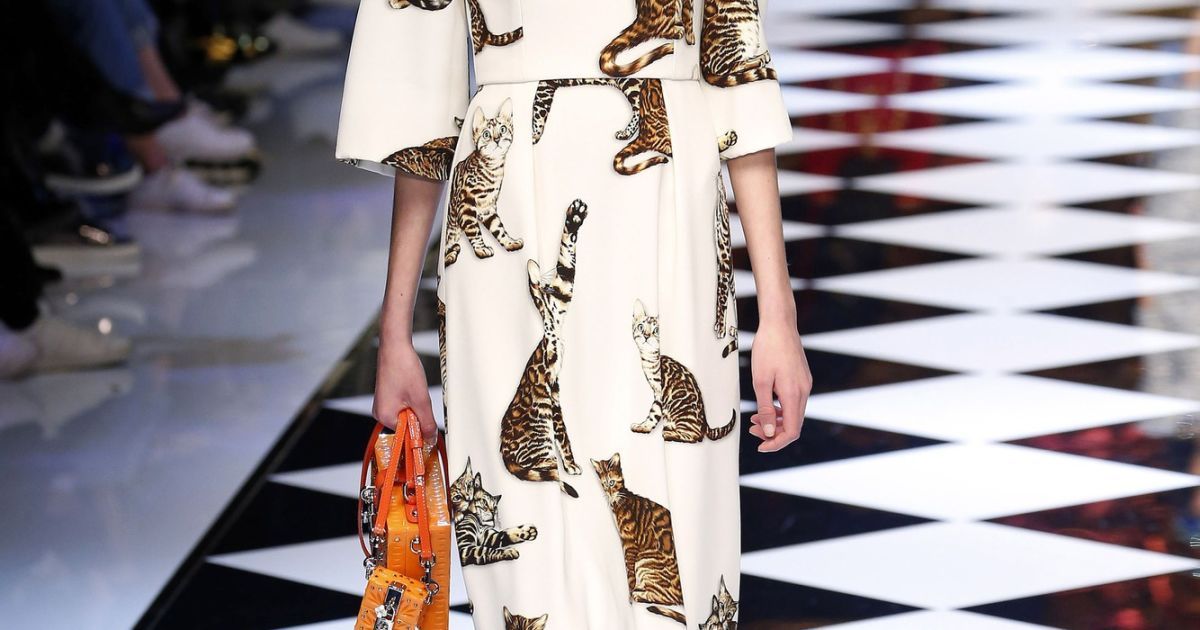 Коллекция Dolce & Gabbana прет-а-порте сезона осень-зима 2016-2017