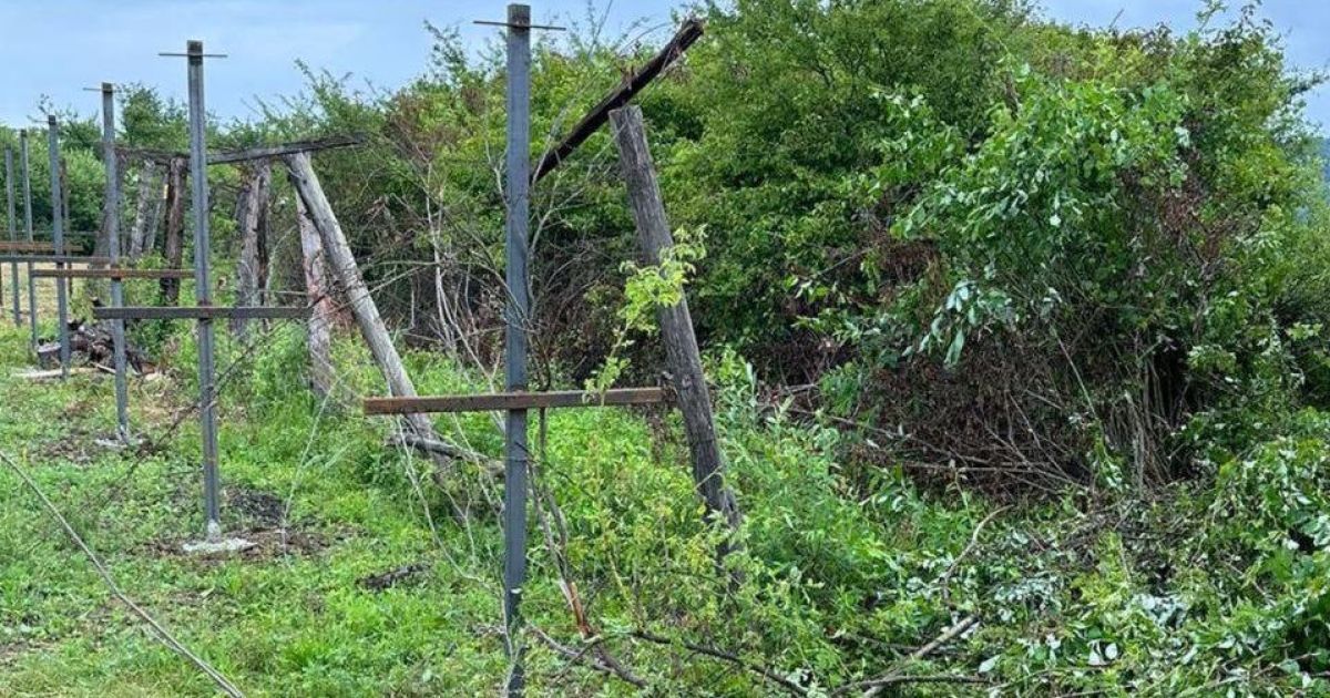 На Закарпатті вантажівка з військовими номерами прорвала кордон
